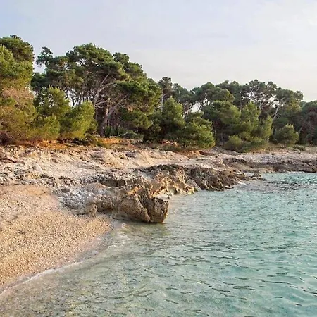 Goran - 30m Close To The Beach